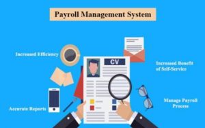 How to Manage Payroll? Tips for Small Businesses | Cogneesol